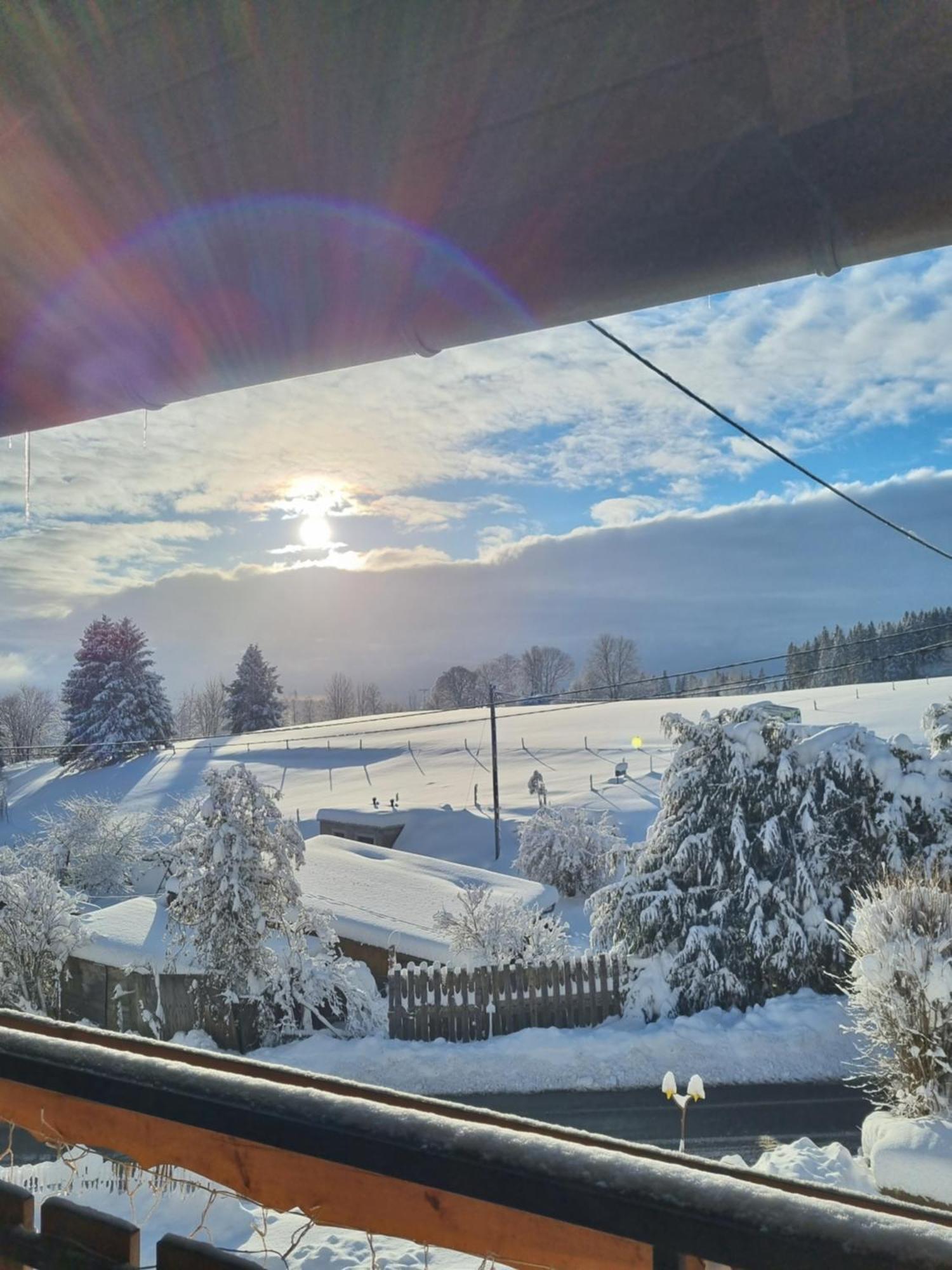 Gaestehaus Bartlehof Schluchsee Eksteriør bilde